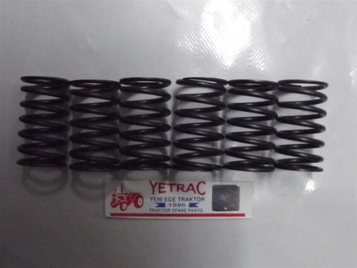 Massey Ferguson 135/240/148 Supap Yayı İç Yaysa 0780007 00751