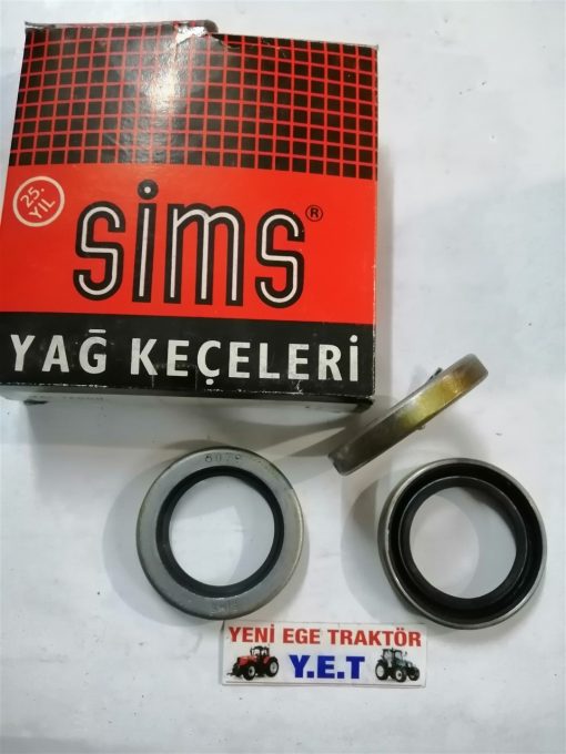 Gazlı Gazlı Prizdirek Keçe 8079 Sims 12030-A 74294